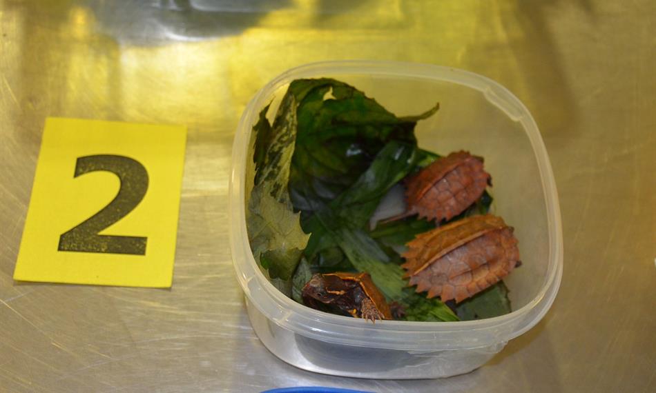 2014-6-10-1251foto 7.jpg